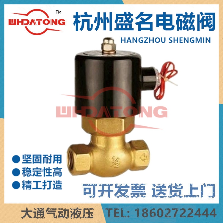 ZQDF-15/20/25/32/40/50蒸汽高温全铜电磁阀 杭州盛名AC220V DC24